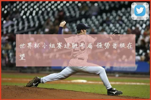 世界杯小组赛连胜两局 强势晋级在望